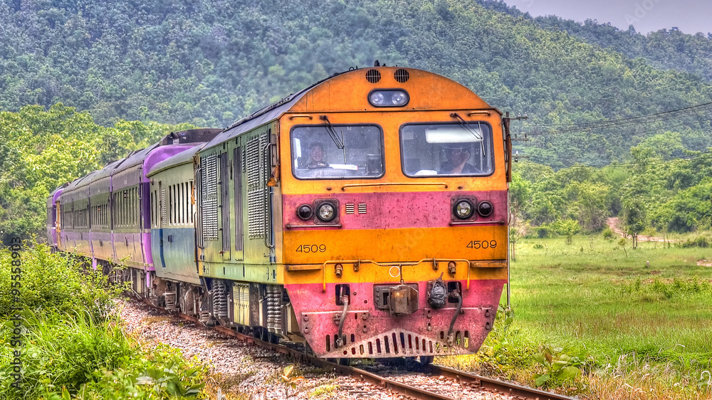 Overnight train was passing through field in northern Thailand 2013.