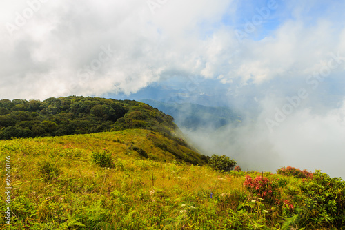 Beautiful mountain and fog at Doi inthanon in Chiangmai province,Thailand