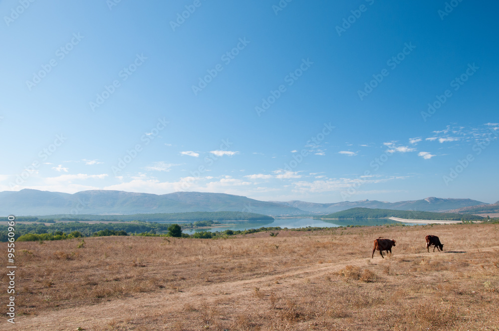 View of Baidarsky valley and Chernorechensk reservoir, Crimea