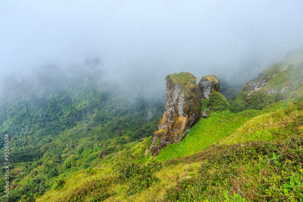 Beautiful mountain and fog  at Doi inthanon in Chiangmai province,Thailand