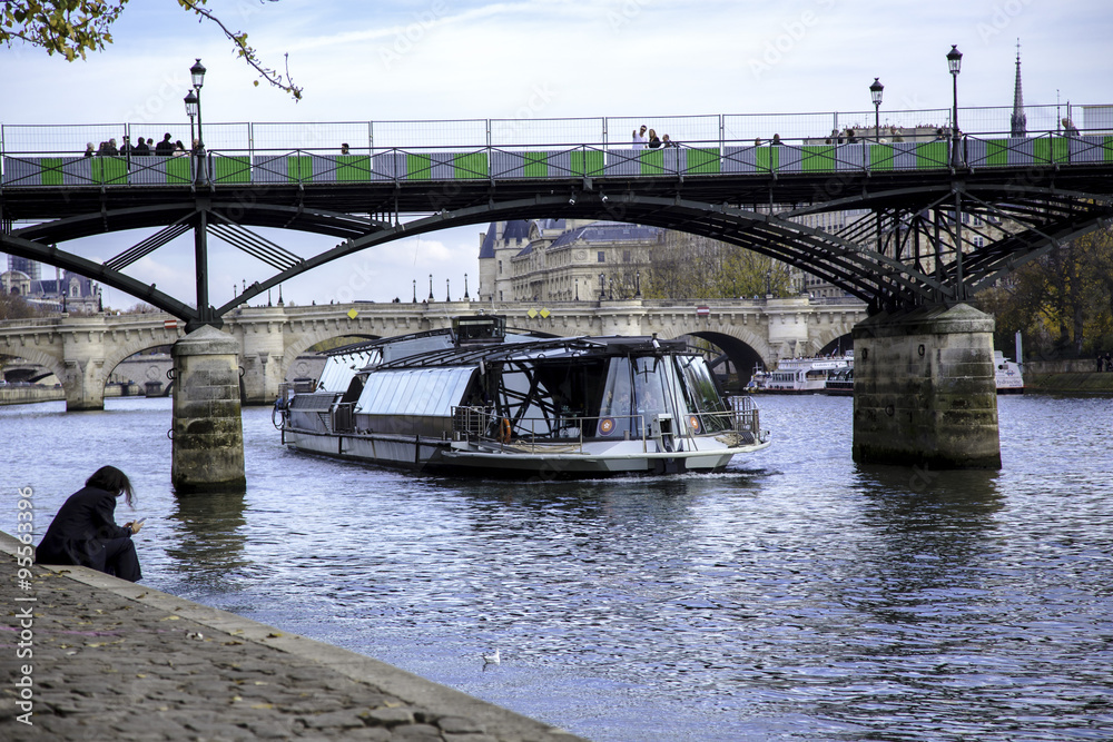Fototapeta premium Texting in Paris
