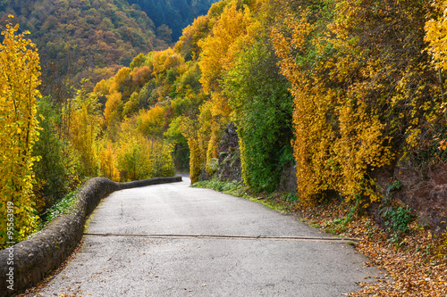 Weg zur Burg Eltz mit buntem Herbstwald photo