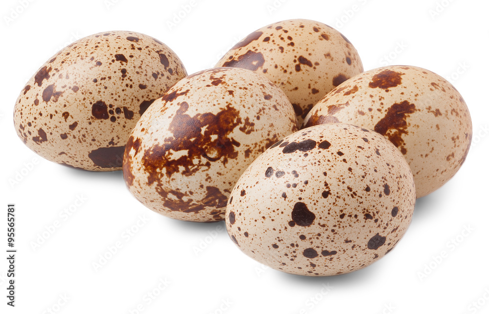 Quail eggs isolated on white background Quail eggs isolated on white background