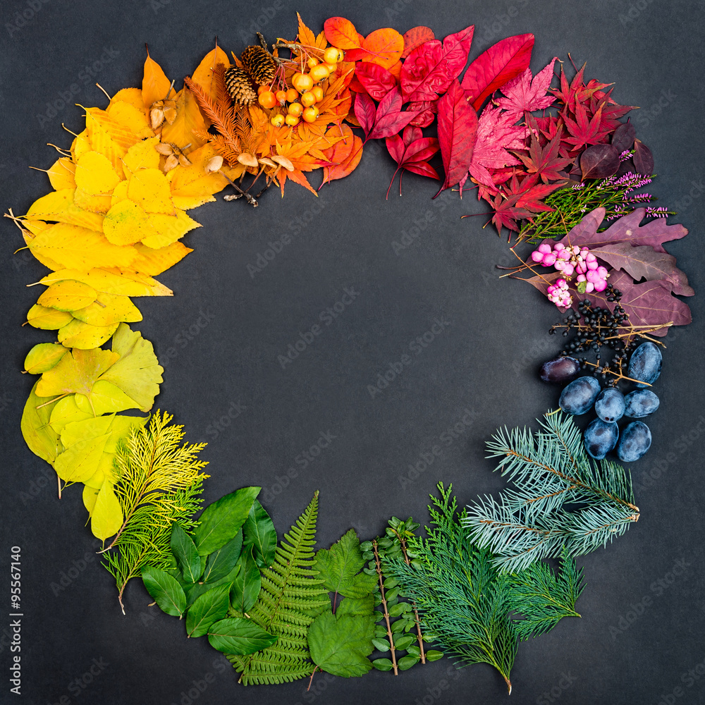 Collection of colorful natural objects shaped in the color wheel Stock