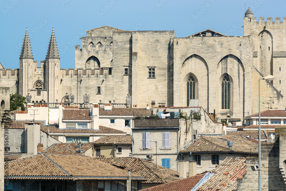 Fototapeta premium Avignon (Provence, France)