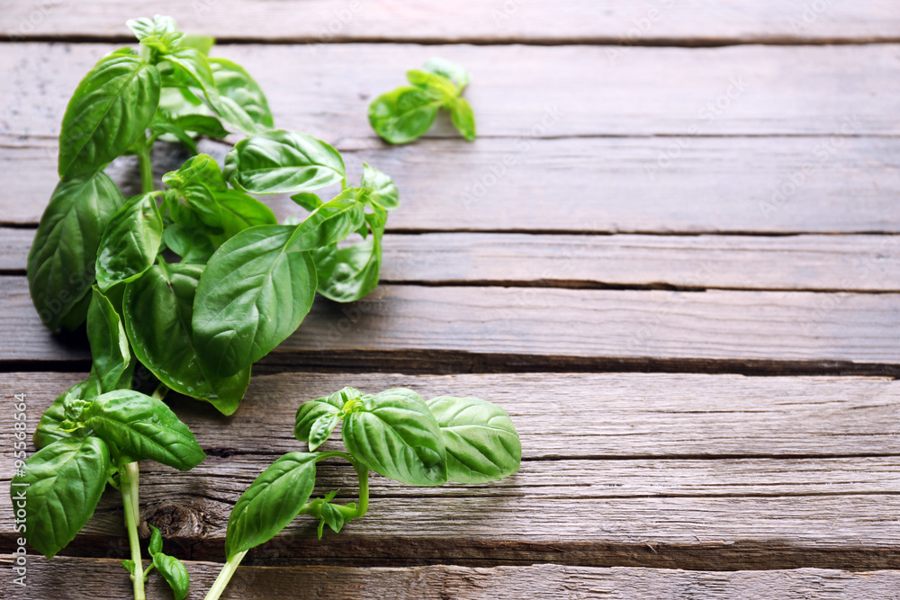Green fresh basil on wooden background Green fresh basil on wooden background