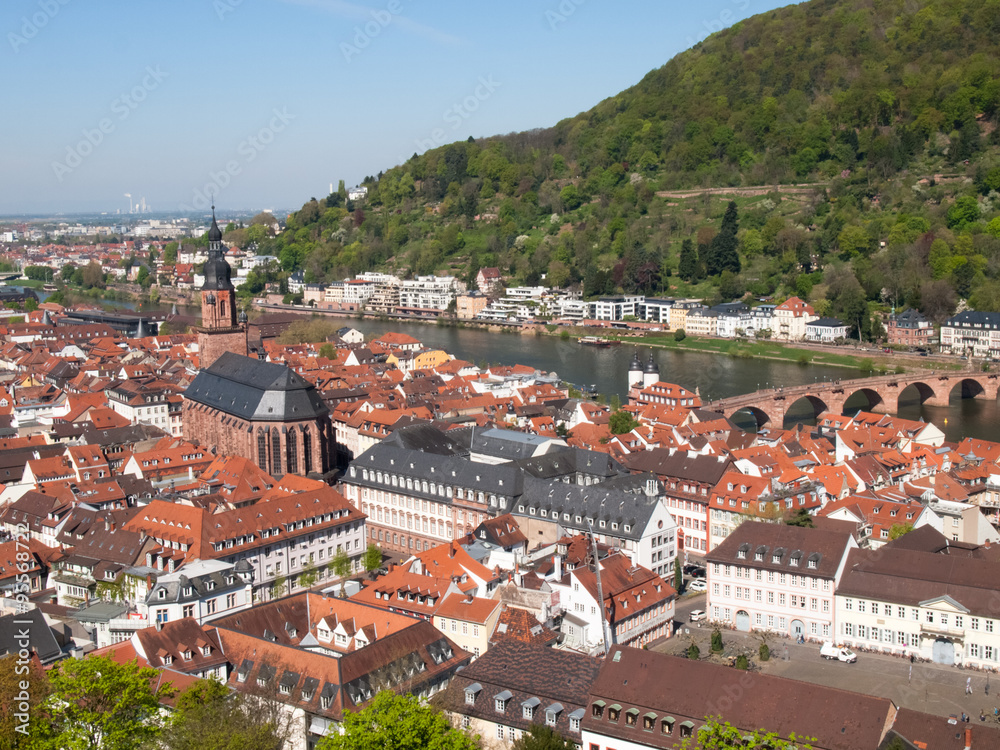 Obraz premium City view from the Königstuhl