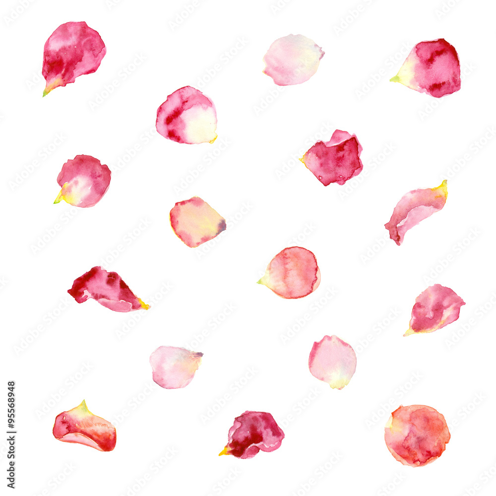 Naklejka premium Malarstwo akwarelowe. Różowe i czerwone płatki róż.