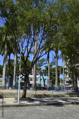 Praça arborizada