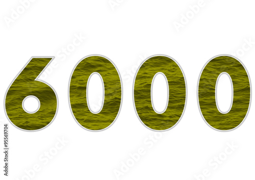 6000 sayısı photo