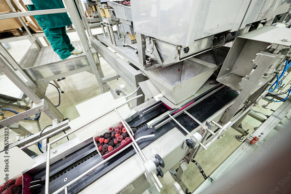 frozen raspberry processing business frozen raspberry processing business