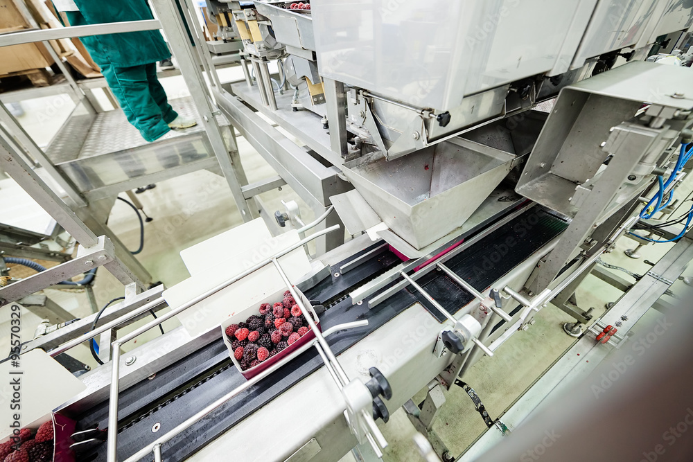 frozen raspberry processing business frozen raspberry processing business