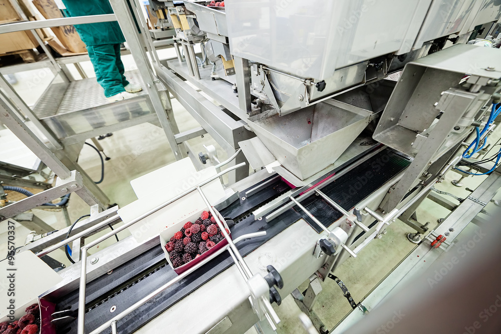 frozen raspberry processing business frozen raspberry processing business
