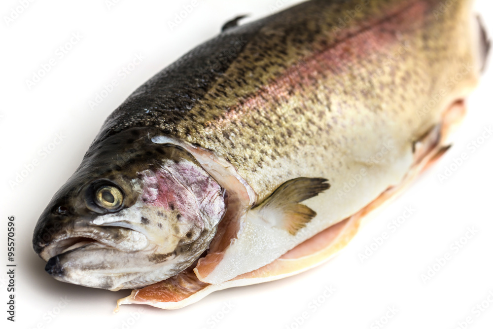 Fresh Salmon trout with bay leaf, black pepper and onion isolated Fresh Salmon trout with bay leaf, black pepper and onion isolated