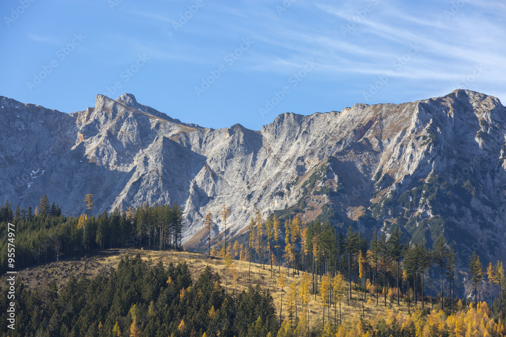 Wald vor dem Panorama Hochkogel, Eisenerzer Alpen, Steiermark, Österreich