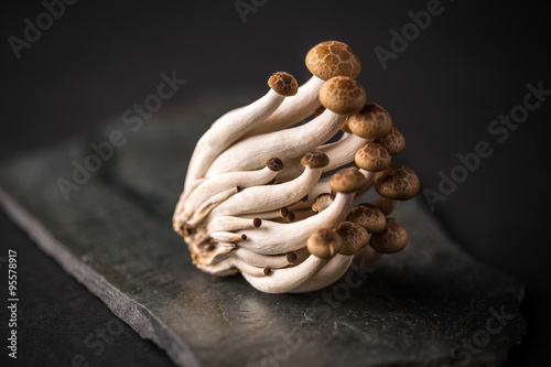 Fresh shimeji mushrooms