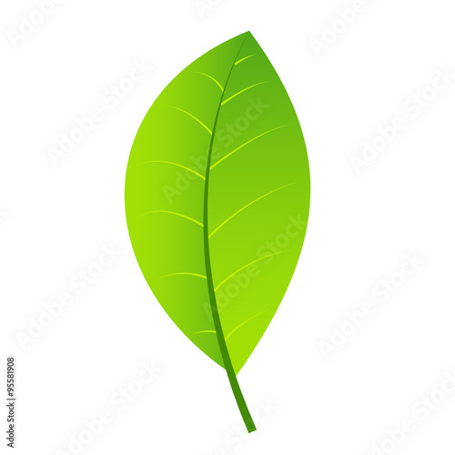 Leaf green icon