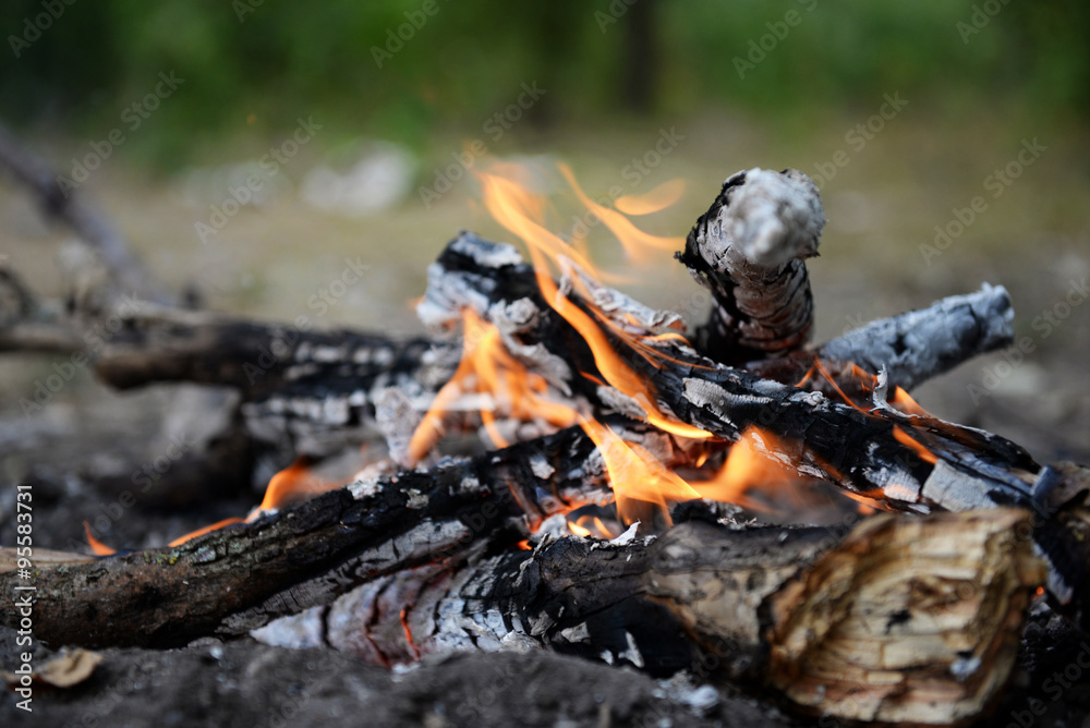 Obraz premium Campfire in the wood