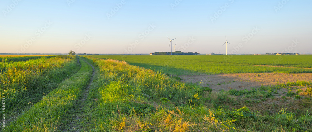 Canal through a sunny landscape in summer at sunrise Canal through a sunny landscape in summer at sunrise