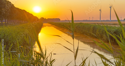 Canal through a sunny landscape in summer at sunrise
