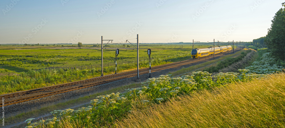 Obraz premium Electric train riding through nature in summer