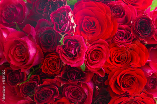pile of red roses