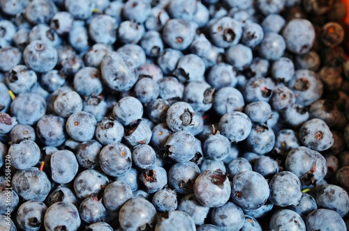 Wild blueberries (bleuets) at a Canadian farmers market 