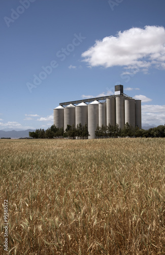 Grain silos and storage at Pools in the Swartland region South Africa © petert2