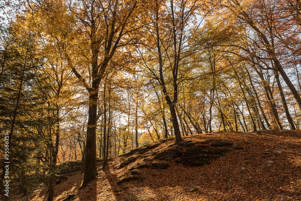Fototapeta premium Landschaft im Herbst