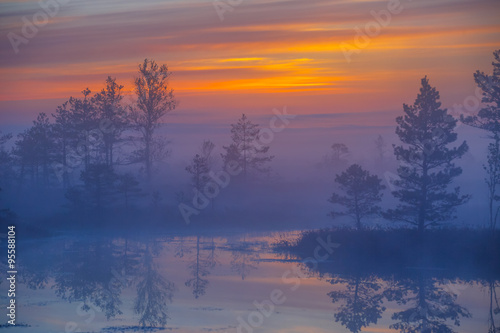 Foggy morning at Yelnya swamp  Belarus