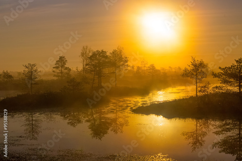 Foggy morning at Yelnya swamp, Belarus