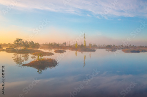 Foggy morning at Yelnya swamp, Belarus © Viktar Malyshchyts