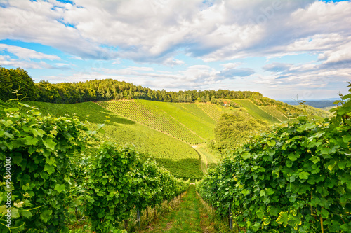 Southern Styria Austria - Panoramic view at the vineyards before harvest 
