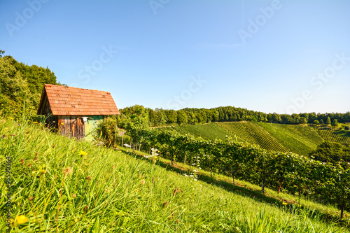 Alte Holzhütte im Weinberg, Kulturlandschaft Weingarten