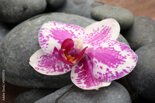 Spa stones and orchids closeup