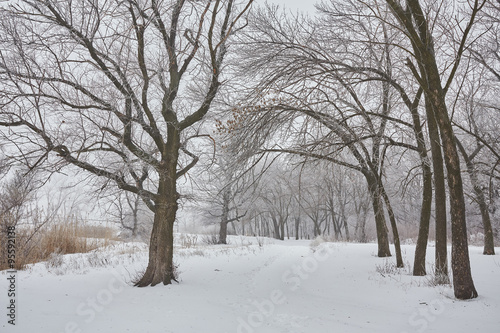 Beautiful winter landscape  © Ryzhkov Oleksandr