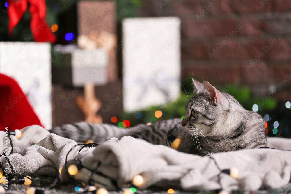 Obraz premium Beautiful cat near Christmas tree with decoration
