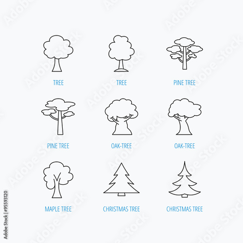 Pine tree, maple and oak icons. Christmas tree.