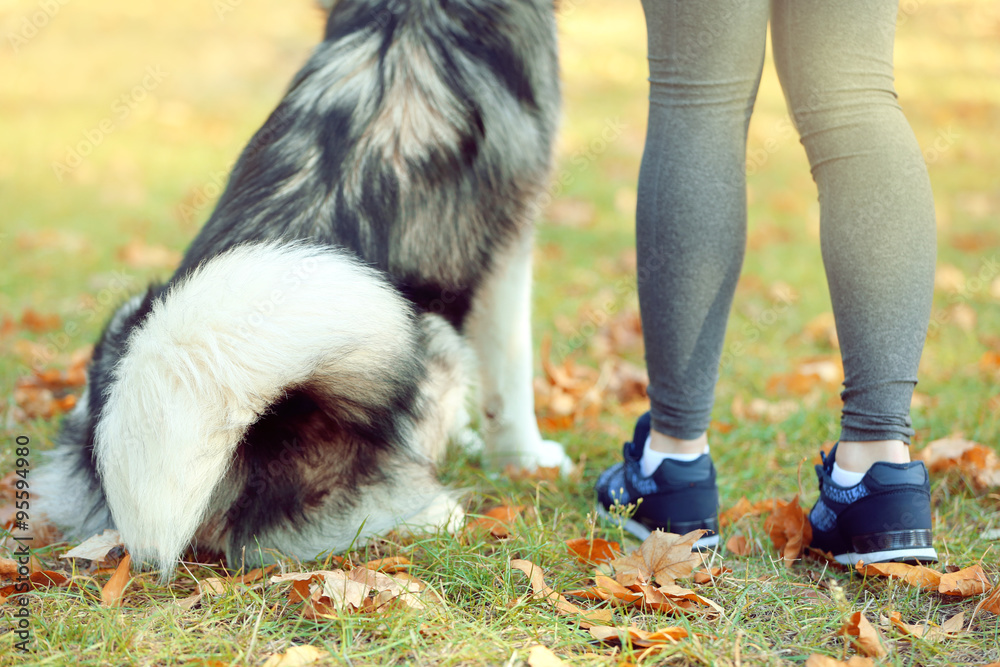 Obraz premium Happy young woman jogging with her dog in park