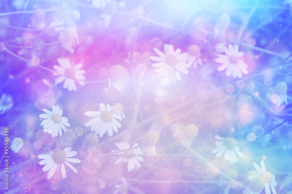 Beautiful artistic background with meadow of daisies in dreamy colors with bokeh lights