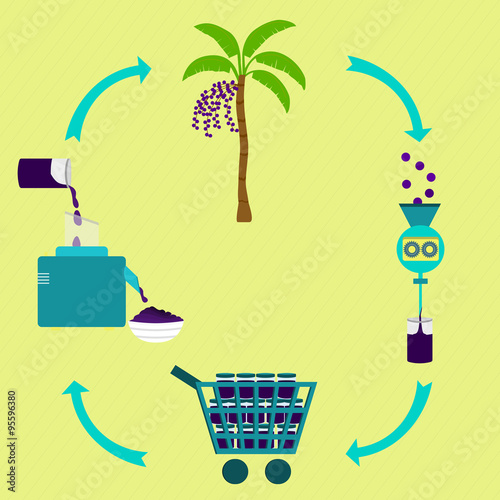 Acai cream production steps. Acai tree, harvest, fruit processing, sale the fruit pulp at the grocery store, production of acai cream at home. In a circular scheme. Brazilian food.