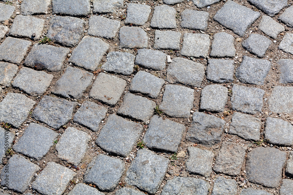 detail of cobblestone path detail of cobblestone path