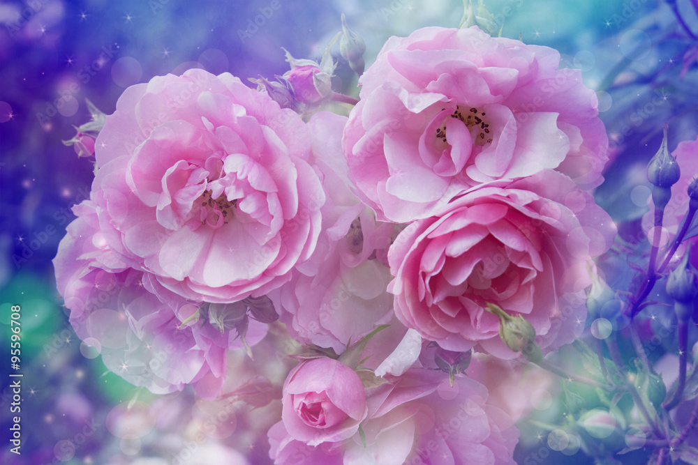 Beautiful roses artistic dreamy background with bokeh lights Beautiful roses artistic dreamy background with bokeh lights