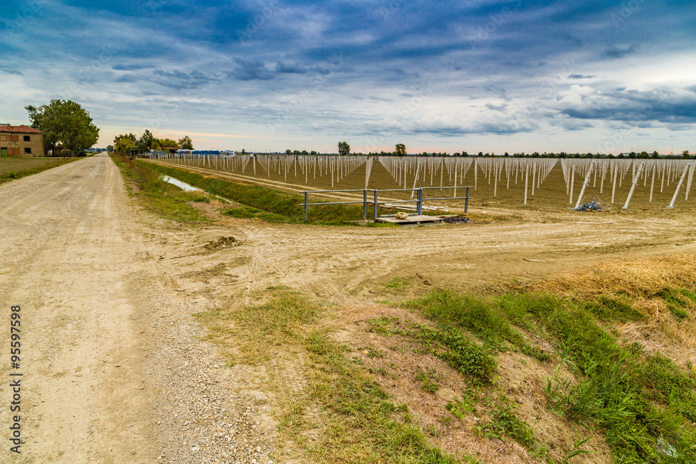 rows of precast poles to support fruit trees