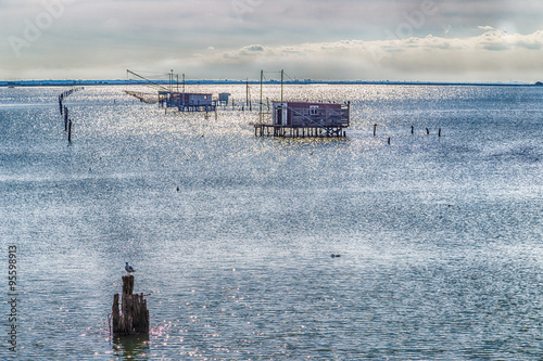 seagull and fishing huts with netfish photo