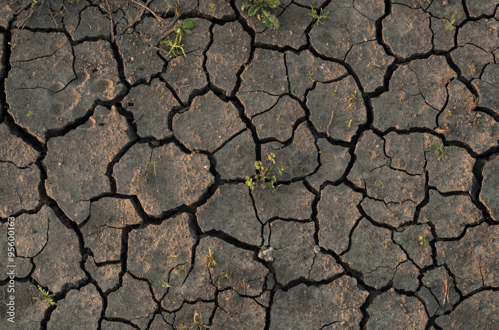 Drought Drought
