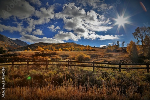 Telluride Colorado Meadow photo