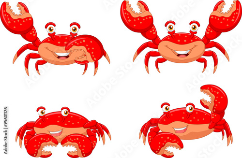 Cartoon crab collection set isolated on white background
