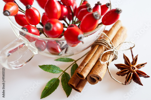 canina rosa with ripe red berries / rose hip / Pometum photo