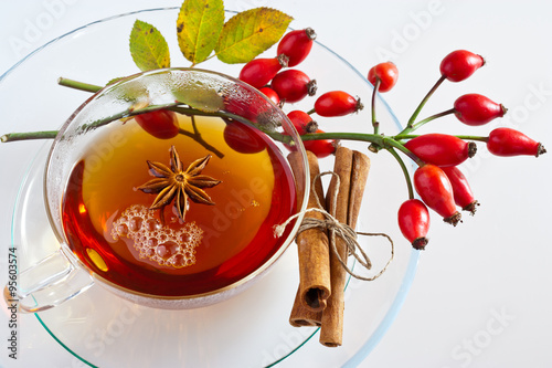 canina rosa with ripe red berries / rose hip / Pometum photo